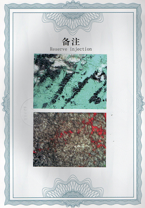 img20250120_11450507.jpg
