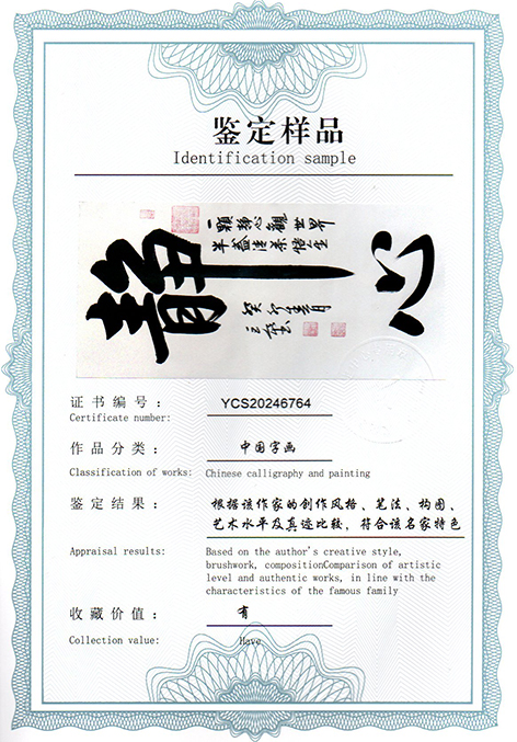 img20250214_09112797.jpg