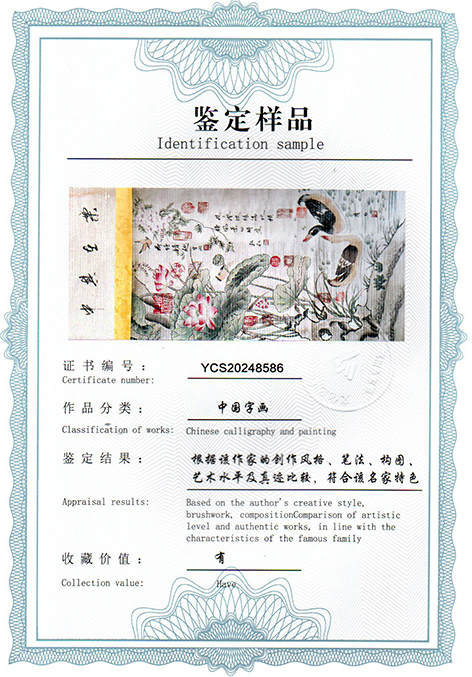img20250206_16312379.jpg
