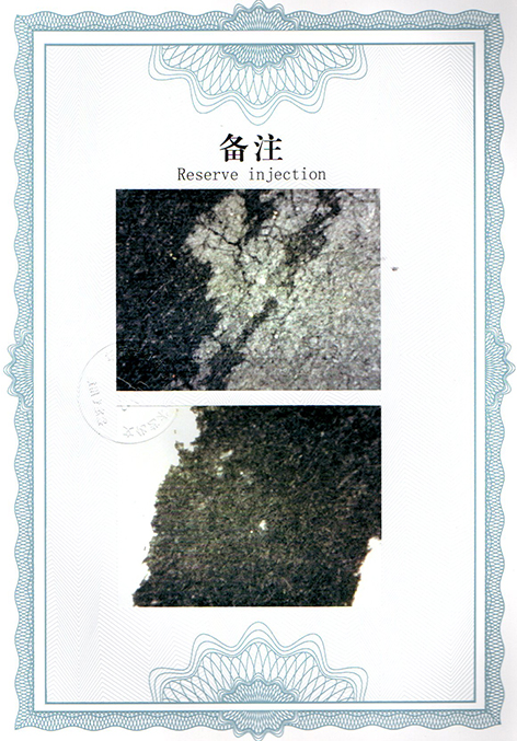 img20250206_16040417.jpg