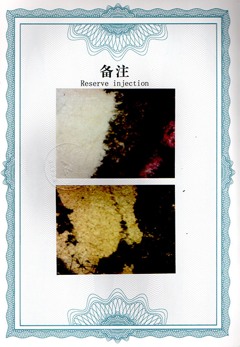 img20250216_09551581.jpg