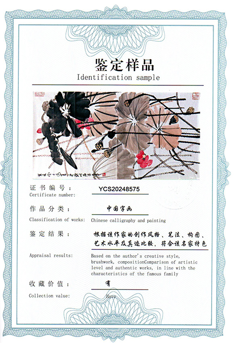img20250217_14491559.jpg