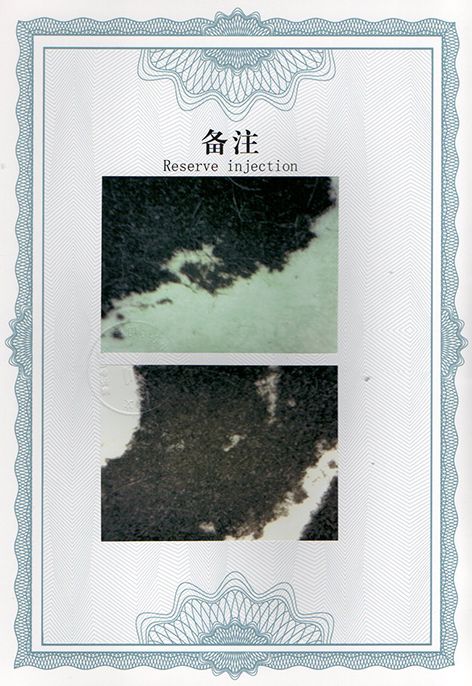 img20250227_10305090.jpg