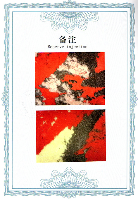 img20250305_10373070.jpg