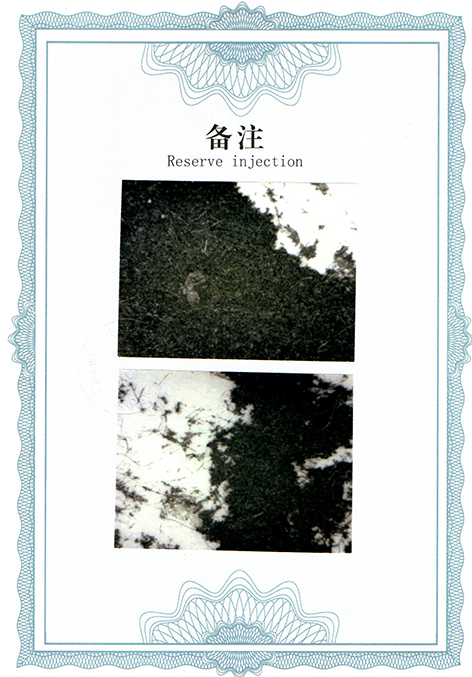 img20250310_16122547.jpg