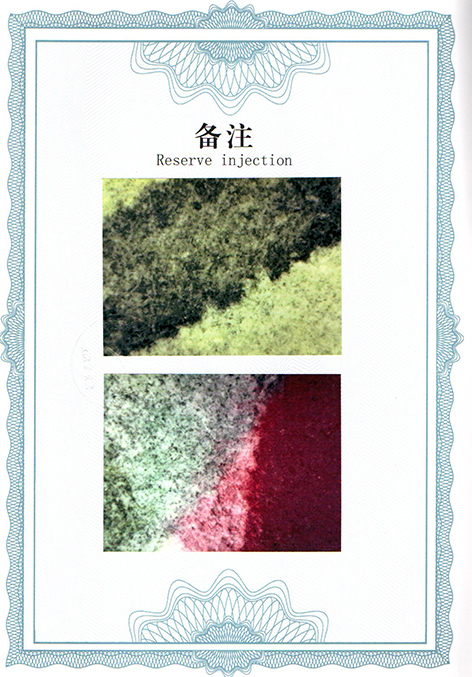 img20250305_13431885.jpg