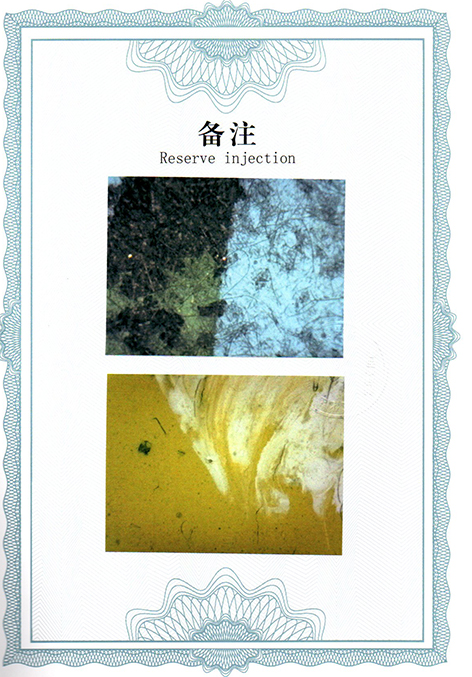img20250305_13460517.jpg