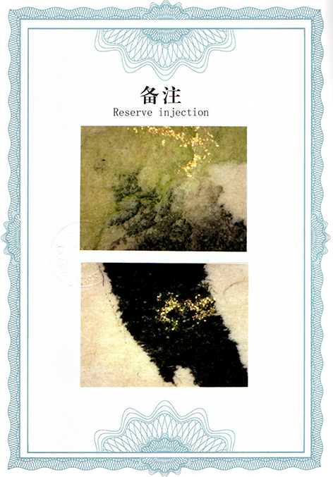 img20250305_14132001.jpg
