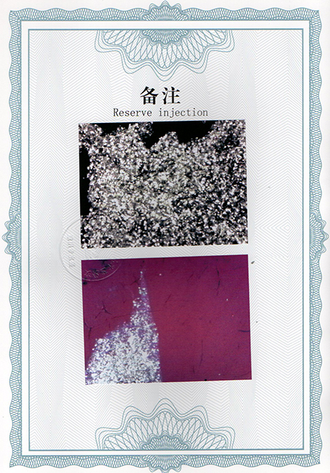 img20250304_13314767.jpg