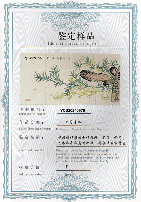 img20250304_13371488.jpg