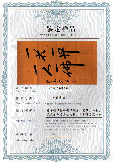 img20250304_13390202.jpg