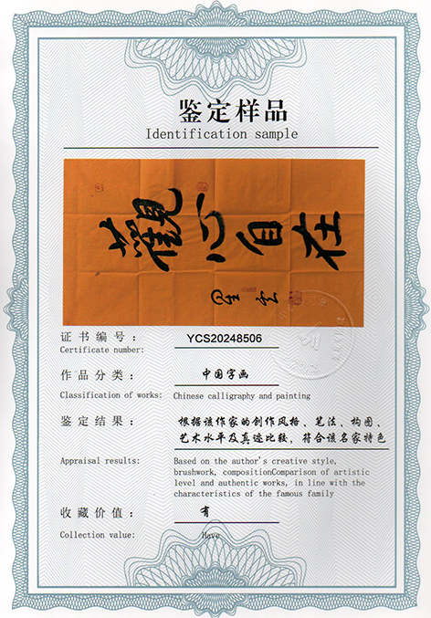 img20250304_13405868.jpg