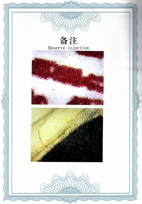 img20250310_14293892.jpg