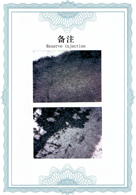 img20250304_13162676.jpg