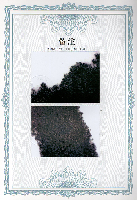 img20250306_11273069.jpg