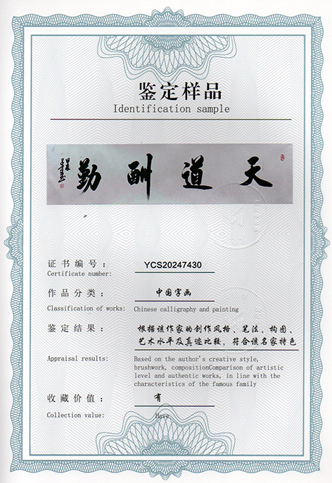 img20250306_11275110.jpg