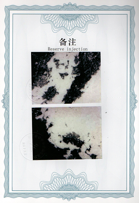 img20250306_11324119.jpg