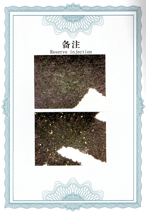 img20250311_13283797.jpg