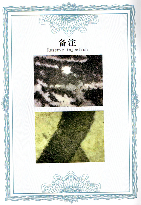 img20250311_13540751.jpg