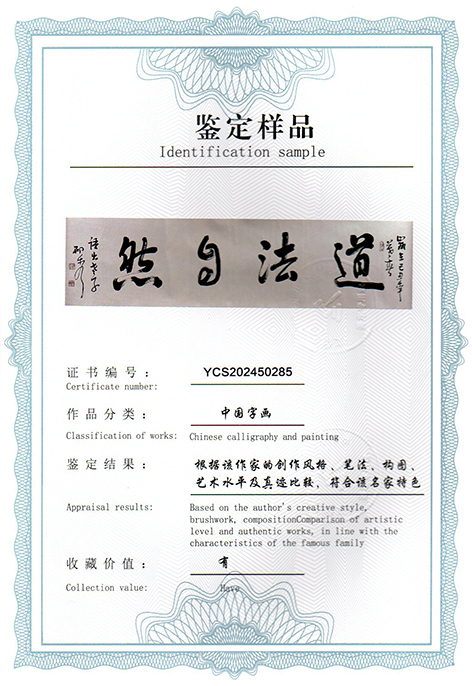 img20250319_10172545.jpg