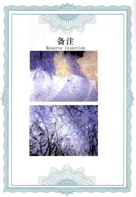 img20250310_15225660.jpg