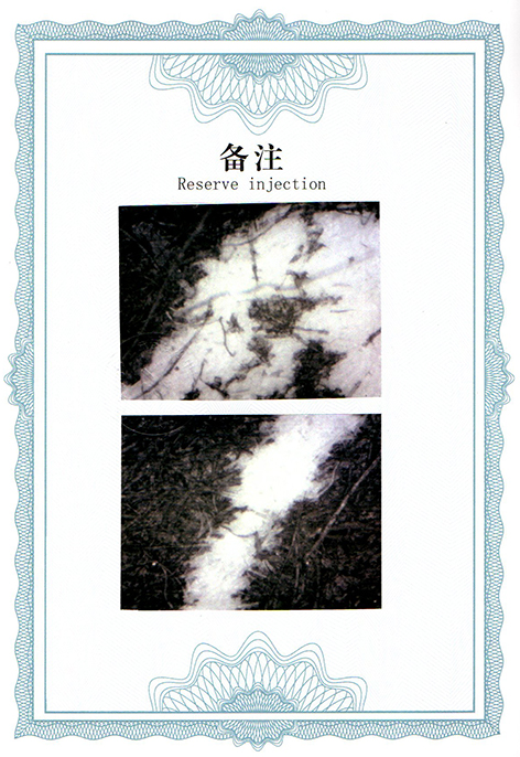 img20250310_15313405.jpg