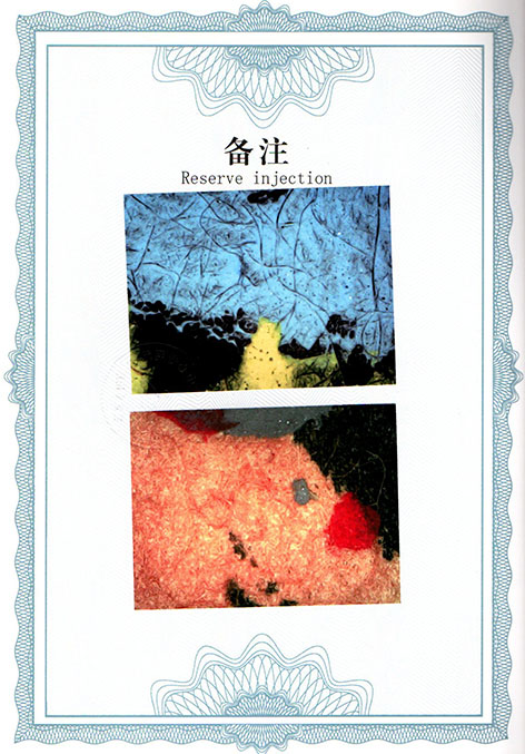 img20250309_14255136.jpg