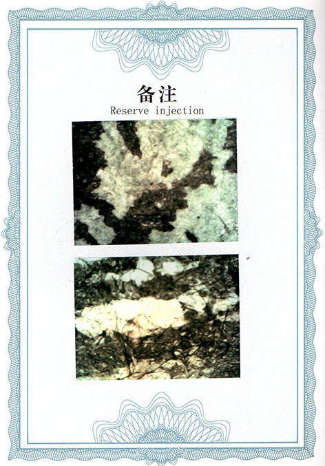 img20250309_14230641.jpg