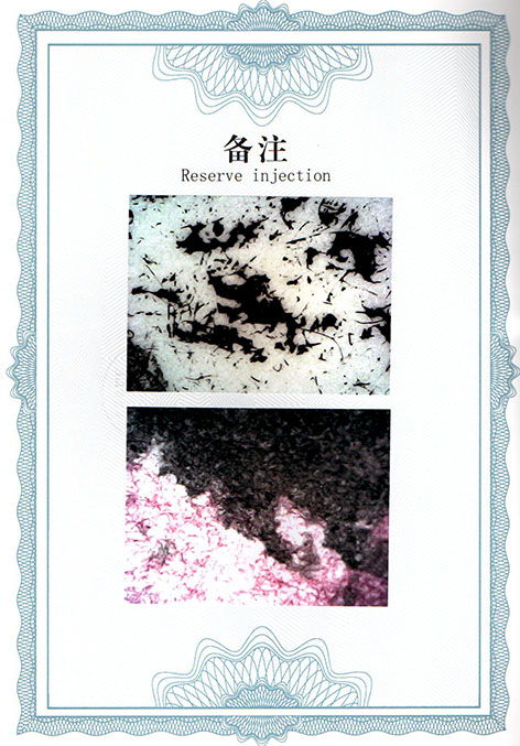img20250309_14440728.jpg