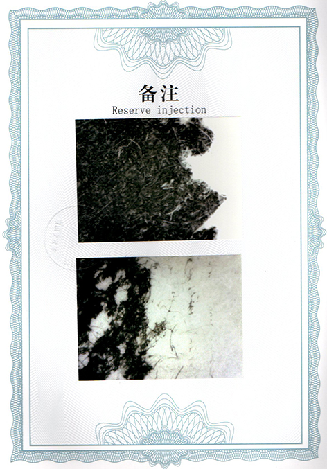 img20250320_09164839.jpg