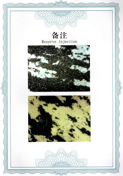 img20250326_13471153.jpg