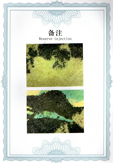 img20250326_13352527.jpg
