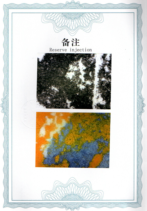 img20250326_11124984.jpg