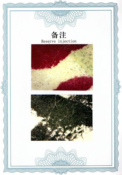 img20250326_13415800.jpg