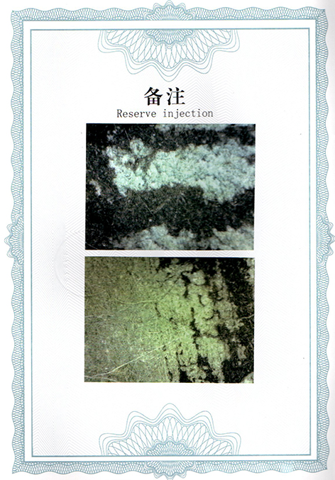 img20250326_11071899.jpg