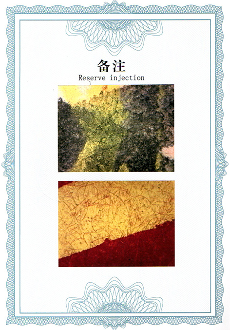 img20250326_13390997.jpg