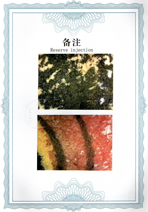 img20250326_14023829.jpg