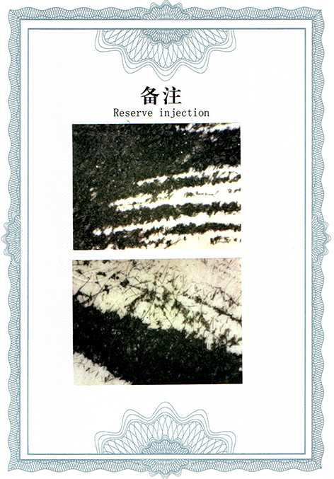 img20250326_13054478.jpg