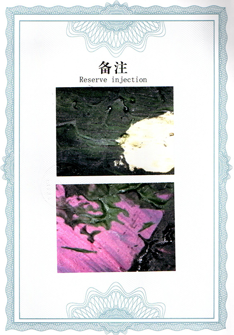 img20250326_11264263.jpg