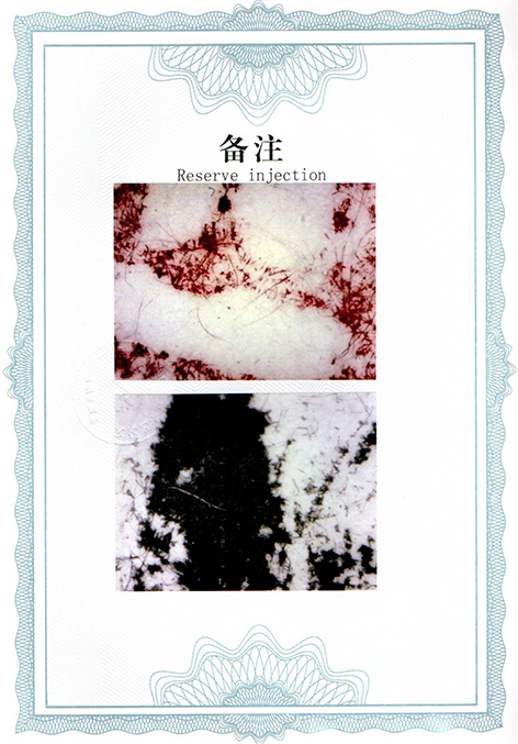 img20250330_09100750.jpg
