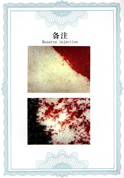img20250328_10464411.jpg