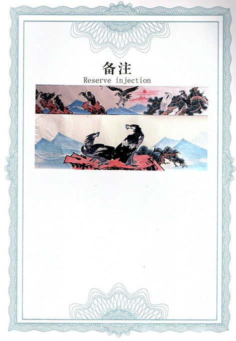 img20250413_13551964.jpg