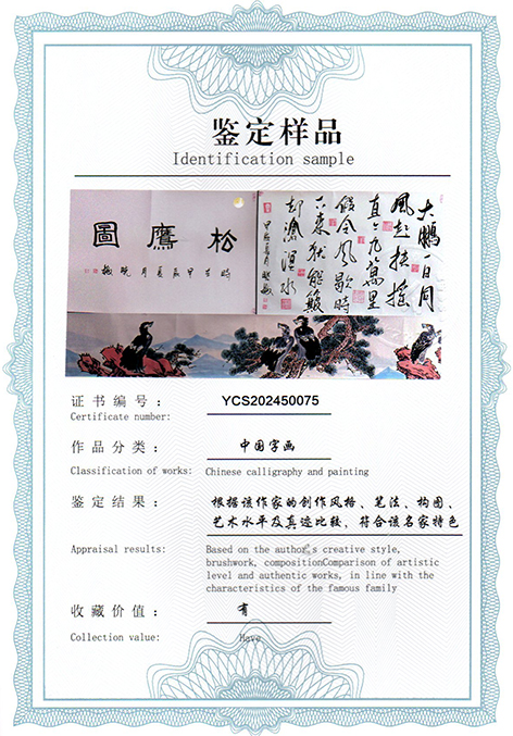 img20250413_13560788.jpg