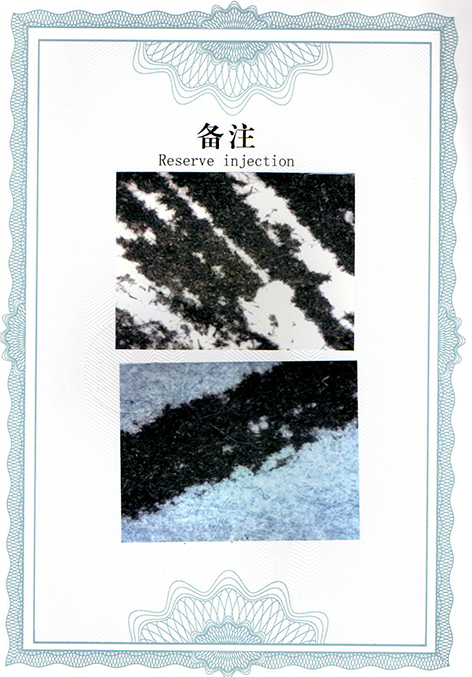 img20250415_11001462.jpg