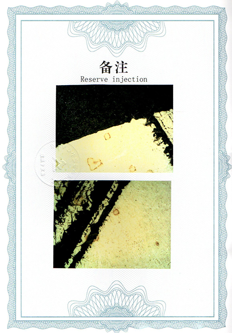 img20250417_10392938.jpg