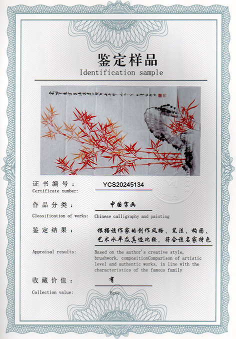 img20241220_10353672.jpg