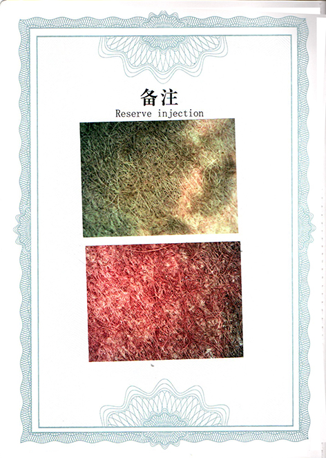 img20250517_17133428.jpg
