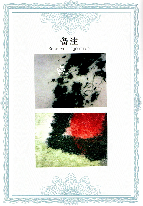 img20250516_13363939.jpg