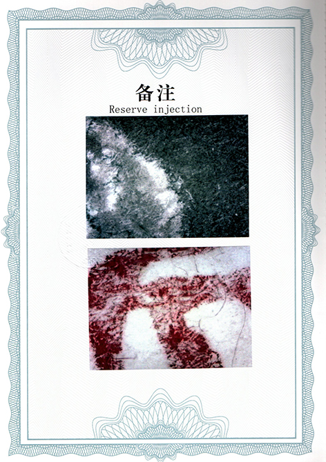img20250516_15245169.jpg