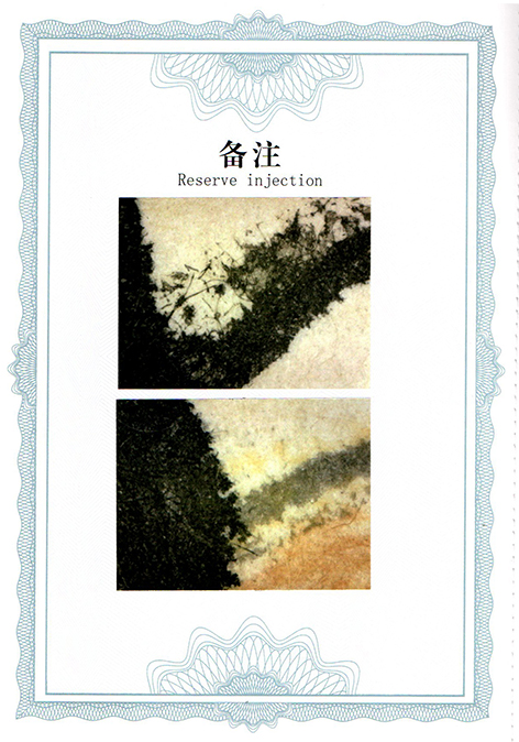 img20250520_14191367.jpg